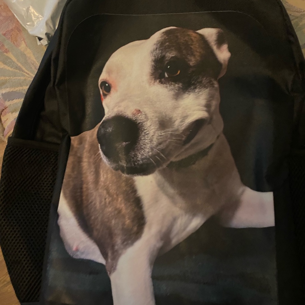Black Dog Print Backpack for Men - Casual Everyday Pack